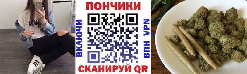 А ПВП Электроугли