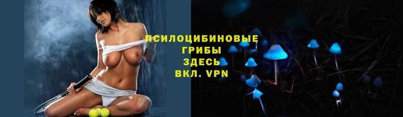 Галлюциногенные грибы Magic Shrooms  это какой сайт  Электроугли 